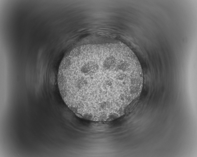 X0000093530331200711091802