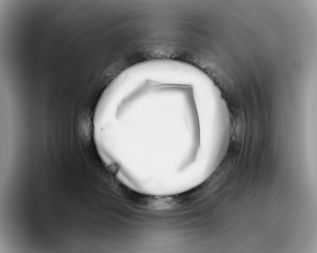 X0000093530334200711091802