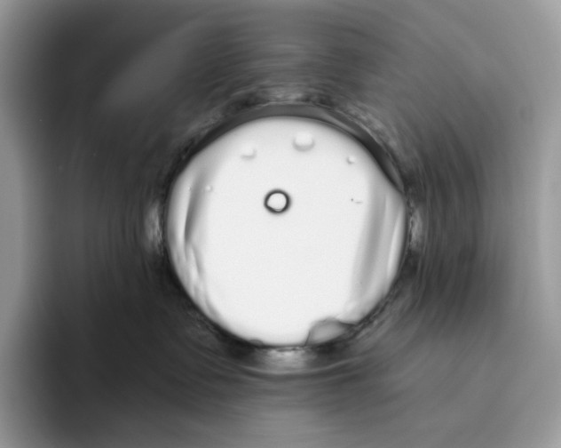 X0000093530335200711091802