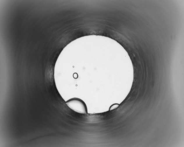 X0000093530336200711091802
