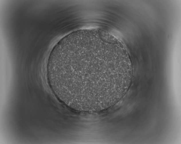 X0000093530337200711091802