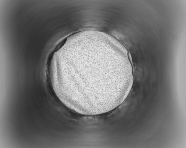 X0000093530338200711091802