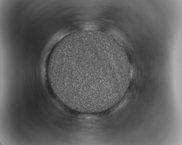X0000093530339200711091802