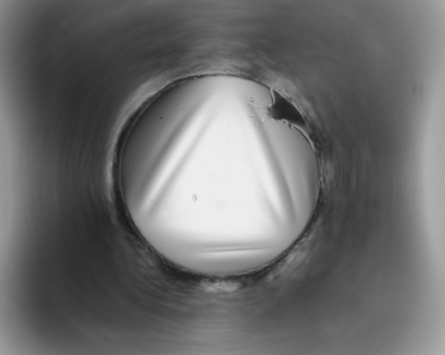 X0000093530340200711091802