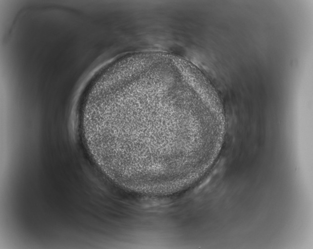 X0000093530343200711091802