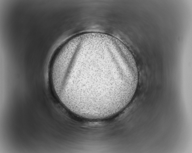 X0000093530344200711091802