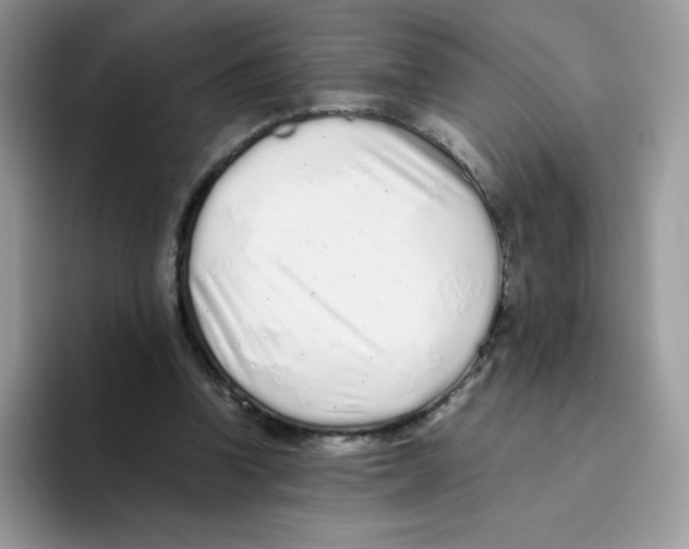 X0000093530346200711091802