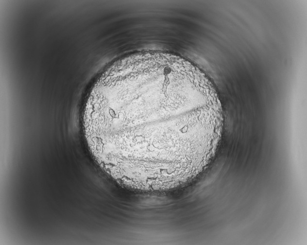 X0000093530347200711091802