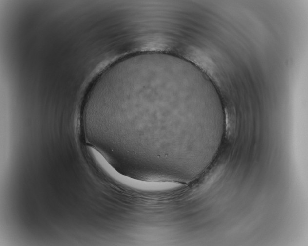X0000093530348200711091802