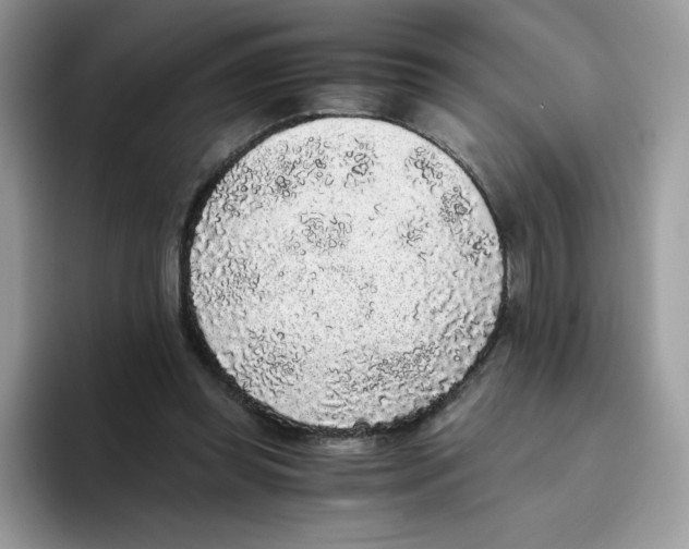 X0000093530349200711091802