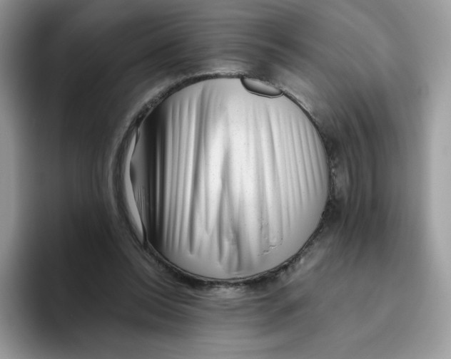 X0000093530350200711091802