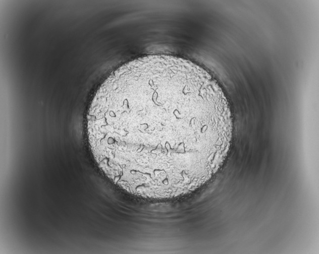 X0000093530353200711091802
