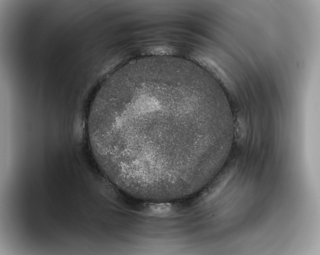 X0000093530355200711091802