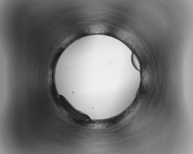 X0000093530356200711091802