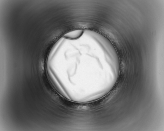 X0000093530358200711091802