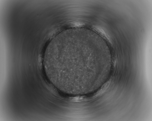 X0000093530366200711091802