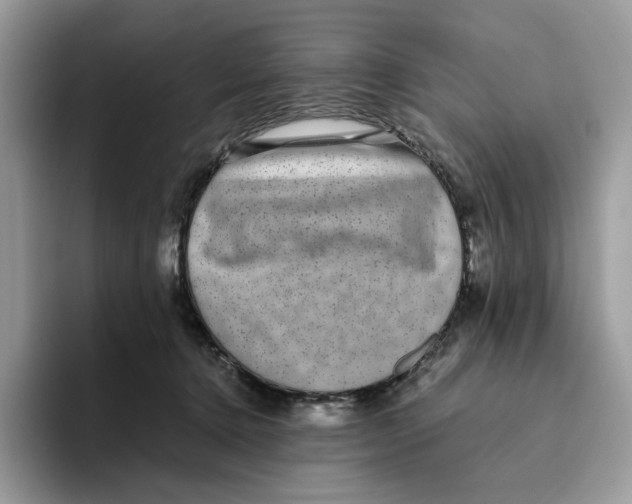 X0000093530368200711091802