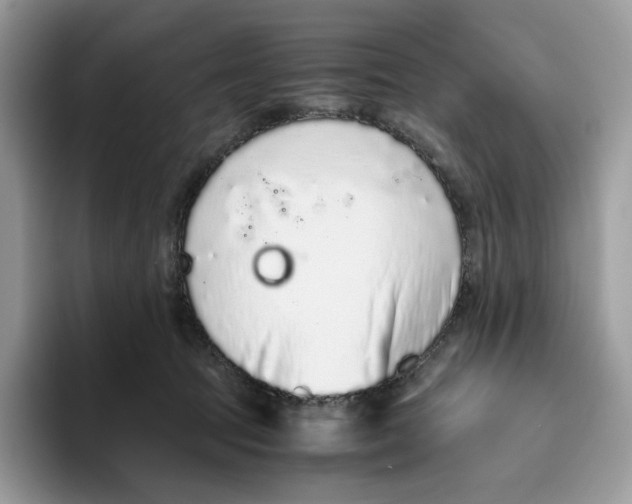 X0000093530369200711091802
