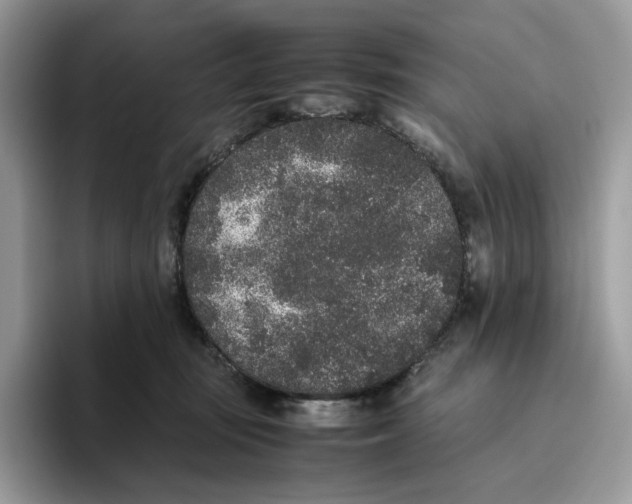 X0000093530371200711091802