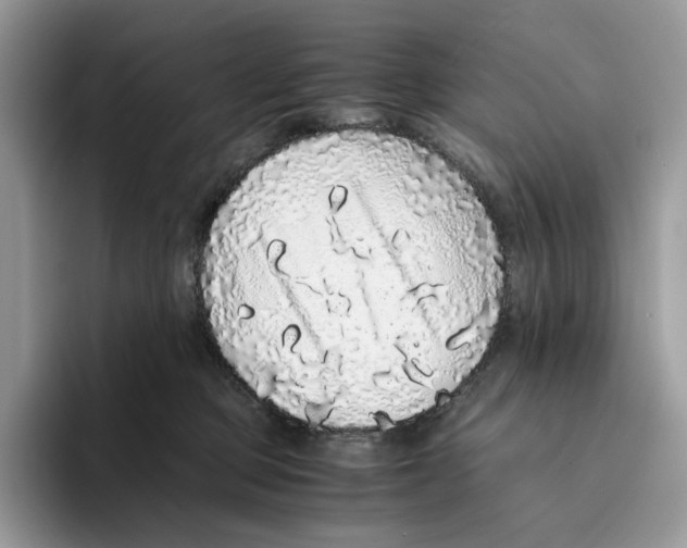 X0000093530373200711091802