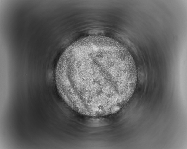 X0000093530375200711091802