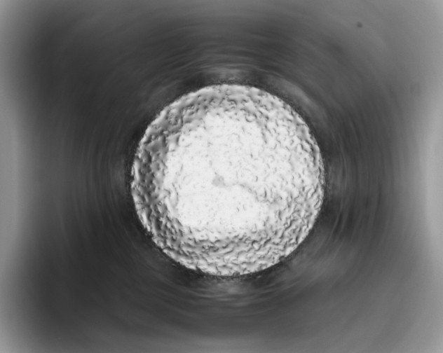 X0000093530377200711091802