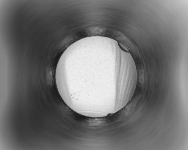 X0000093530378200711091802