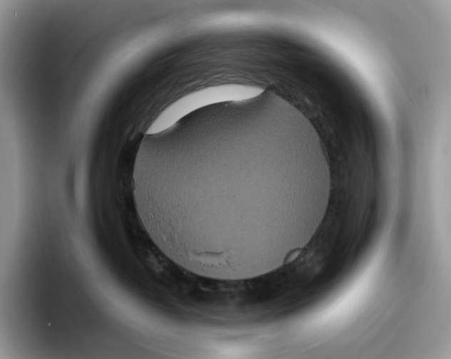 X0000093530382200711091802