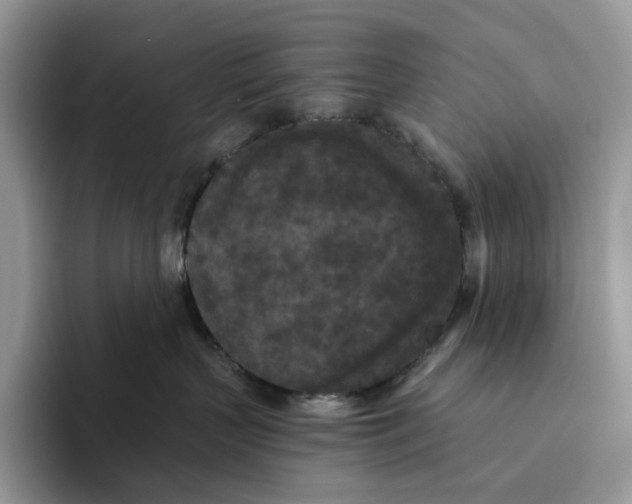 X0000093530383200711091802
