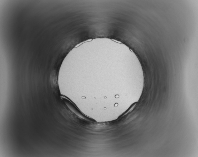 X0000093530384200711091802