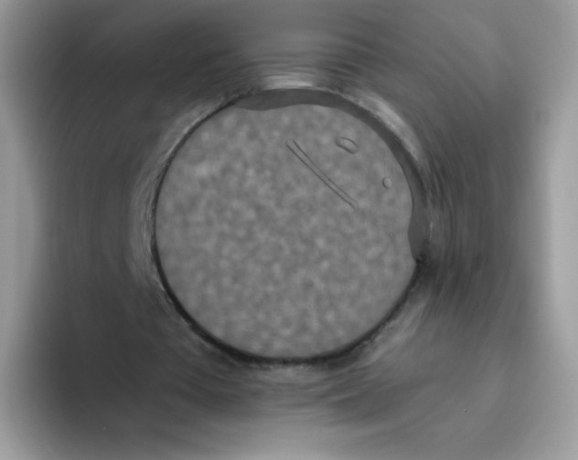 X0000093530385200711091802