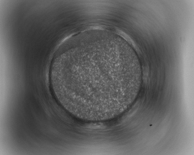 X0000093530386200711091802
