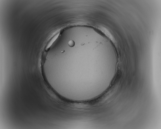 X0000093530389200711091802