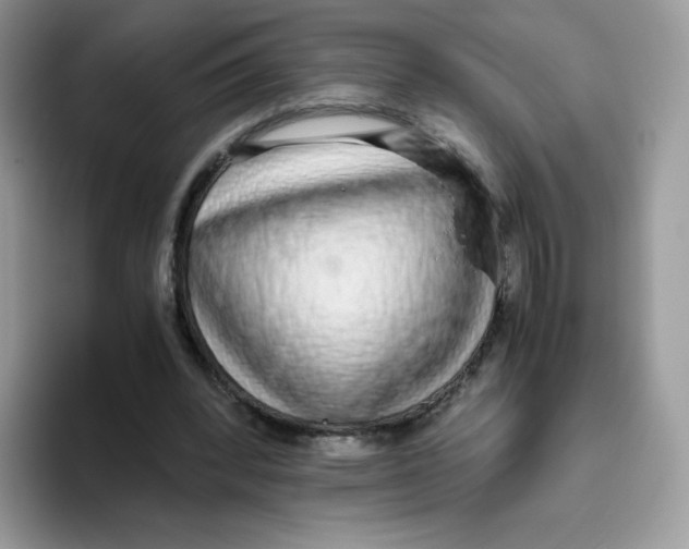 X0000093530392200711091802