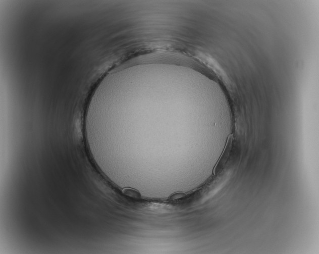 X0000093530393200711091802