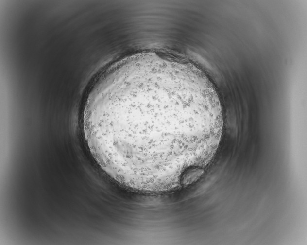 X0000093530394200711091801