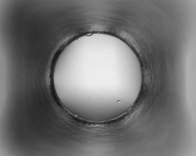 X0000093530395200711091801