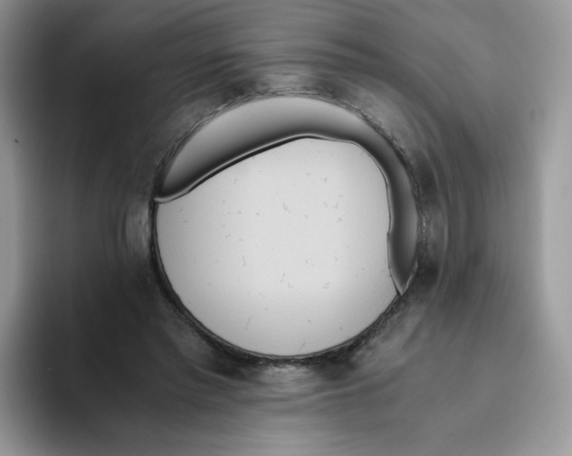 X0000093530397200711091801