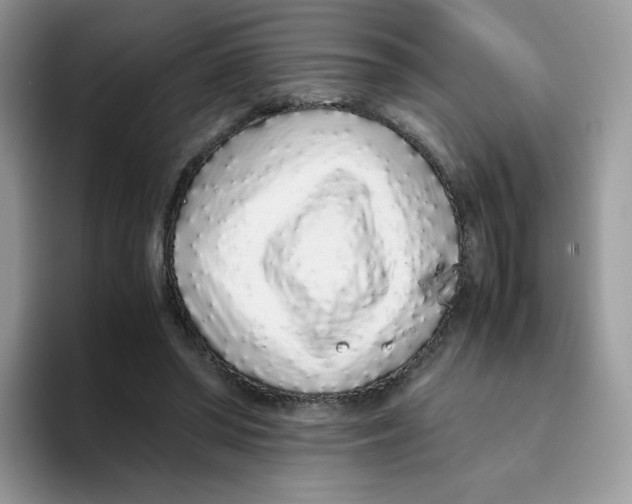 X0000093530398200711091801