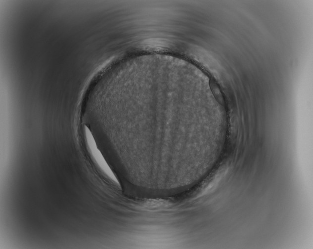 X0000093530399200711091801