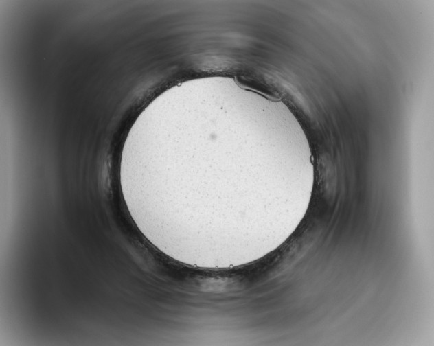 X0000093530400200711091801
