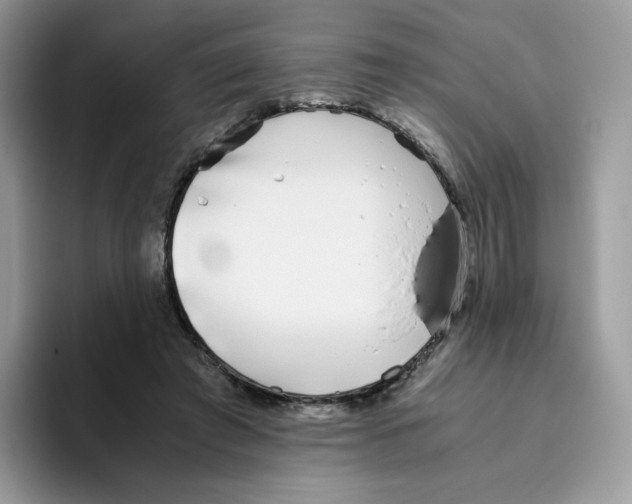X0000093530401200711091801