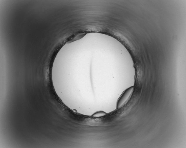 X0000093530403200711091801