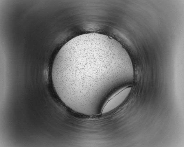 X0000093530404200711091801