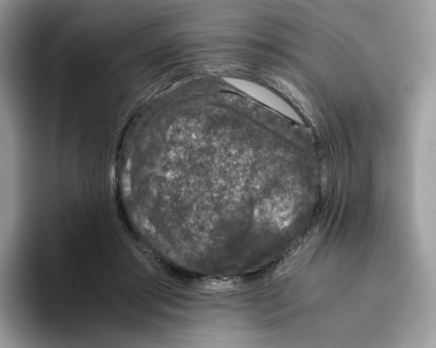 X0000093530405200711091801