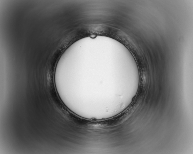 X0000093530408200711091801