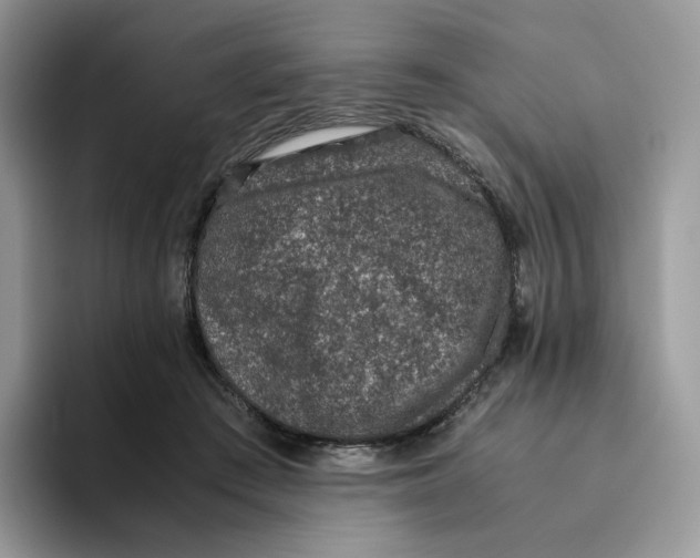 X0000093530409200711091801