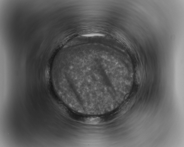 X0000093530410200711091801