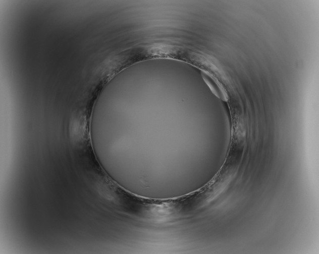 X0000093530411200711091801