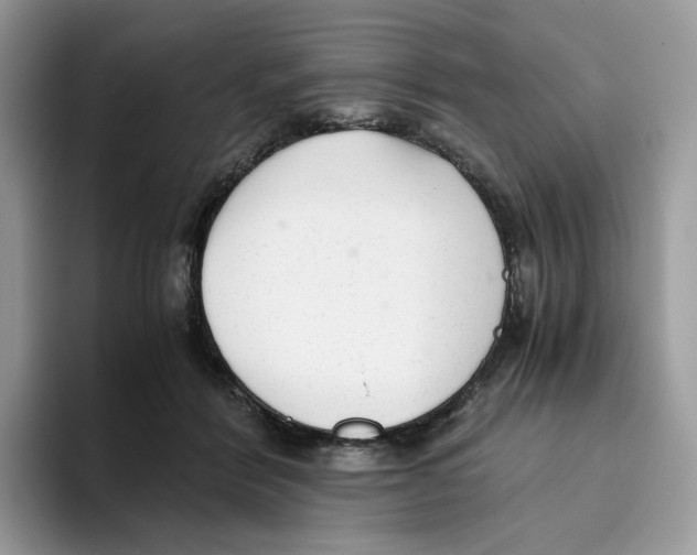 X0000093530412200711091801